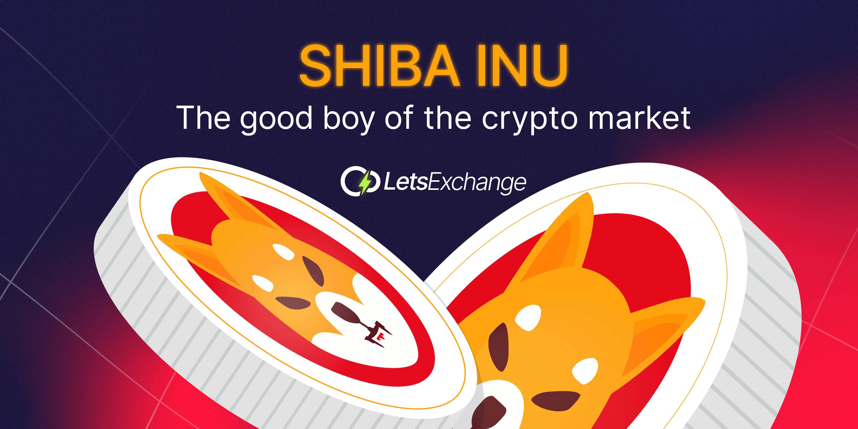 Shiba Inu Coin: Is It a DOGE killer indeed? | LetsExchange Blog