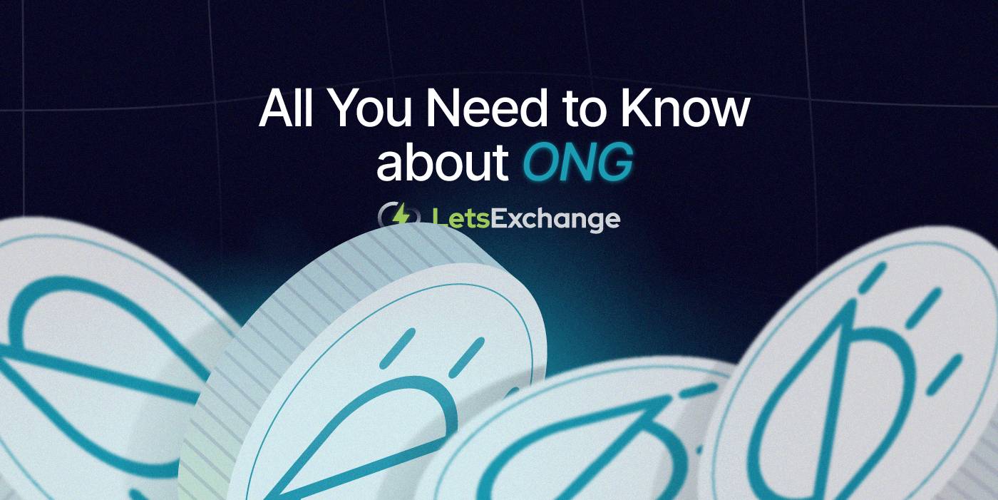 Ontology Gas (ONG): The Complete Guide | Letsexchange