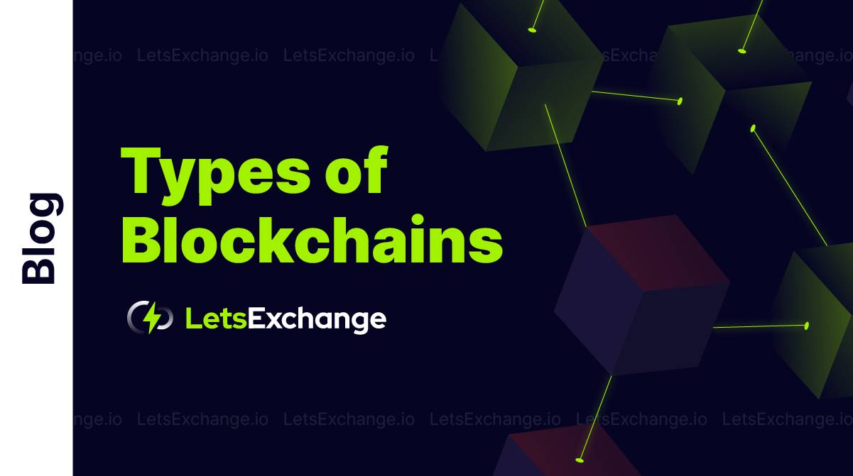 Types of blockchains - decide which one is better for your | LetsExchange.io