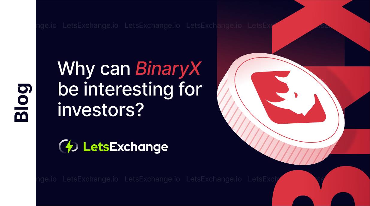 Why can BinaryX be interesting for investors? | Find out here