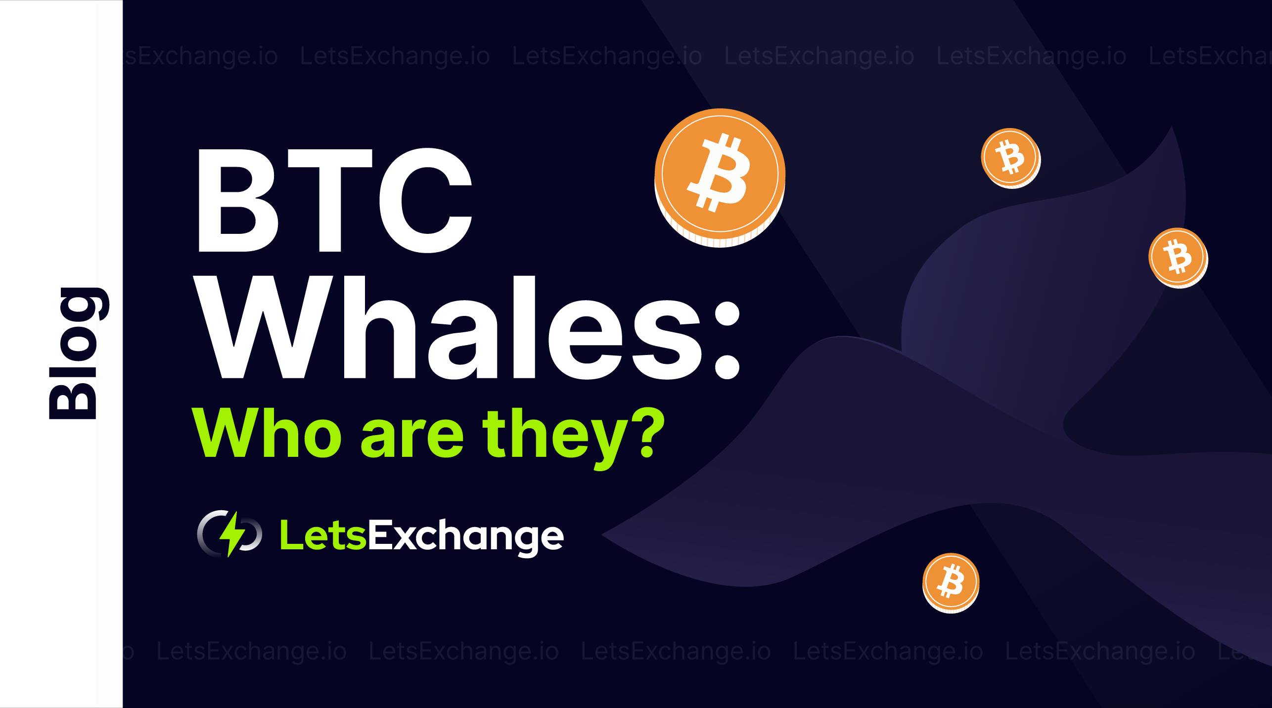 Bitcoin Whales List - TOP 10 Bitcoin Holders | LetsExchange