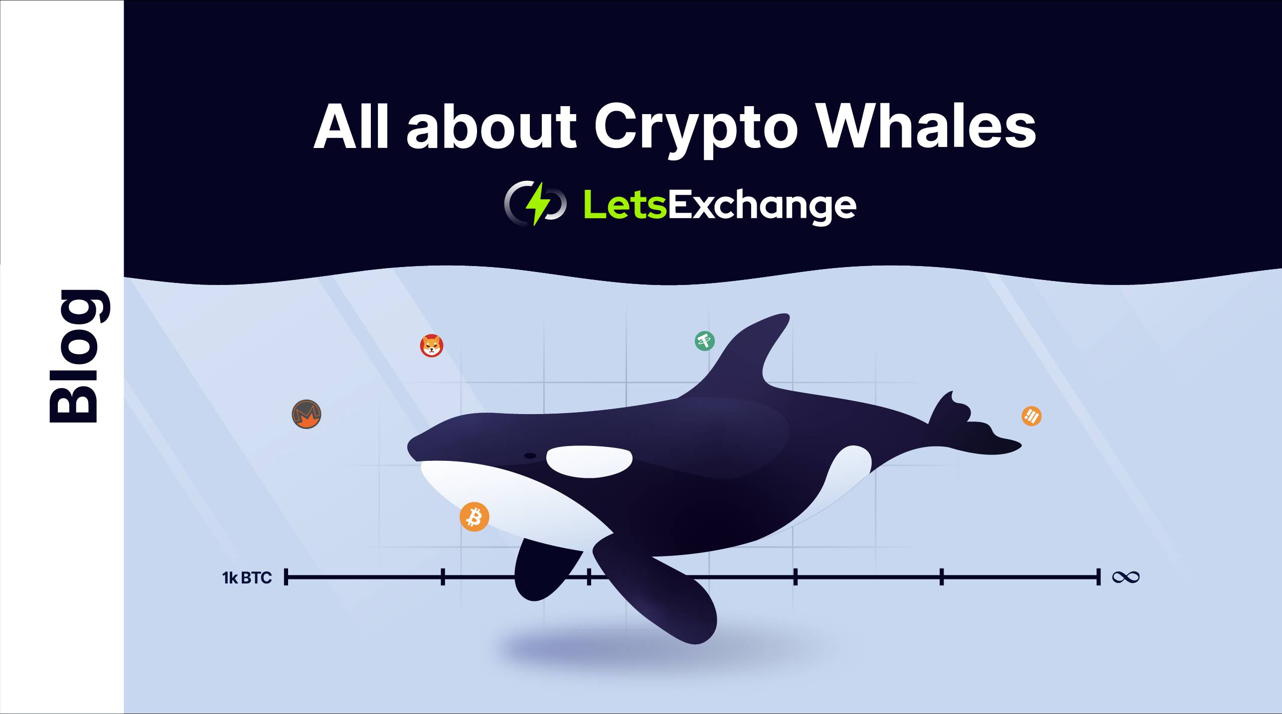 Crypto Whale: What Is a Crypto Whale and How do They Affect the Cryptocurrency | Letsexchange