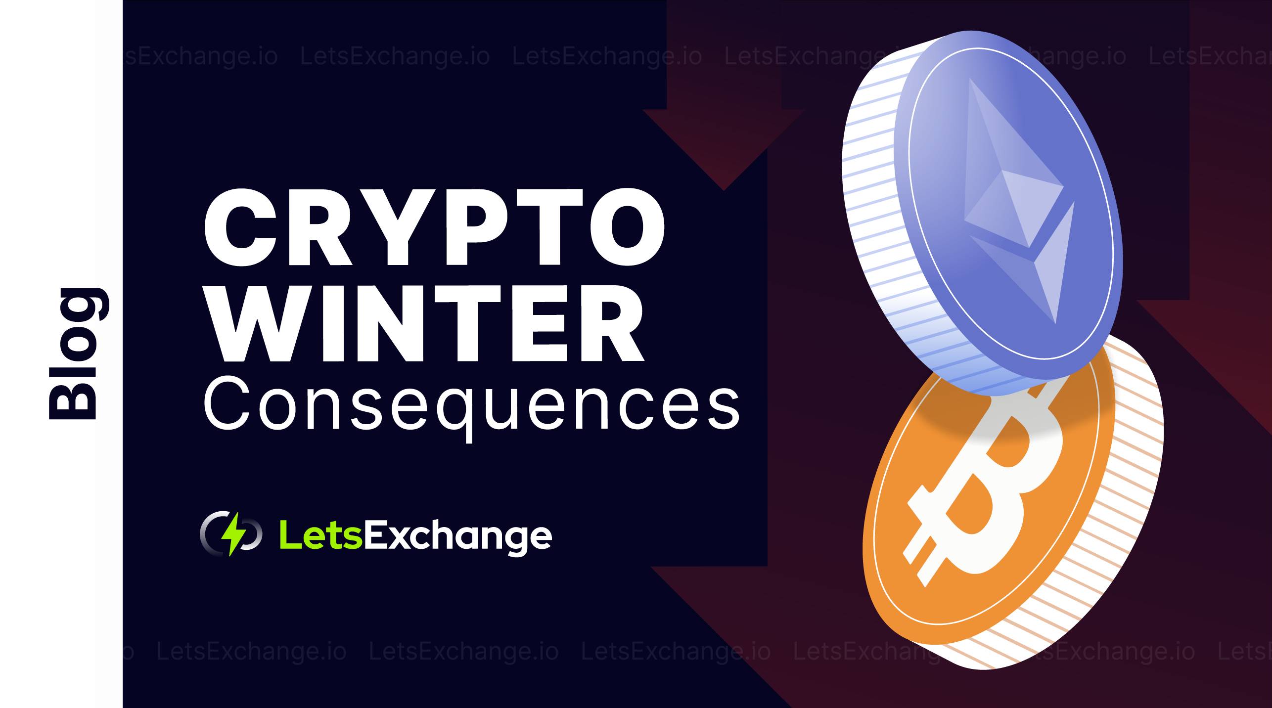 How much money did the financial market lose due to the crypto winter? | Letsexchange