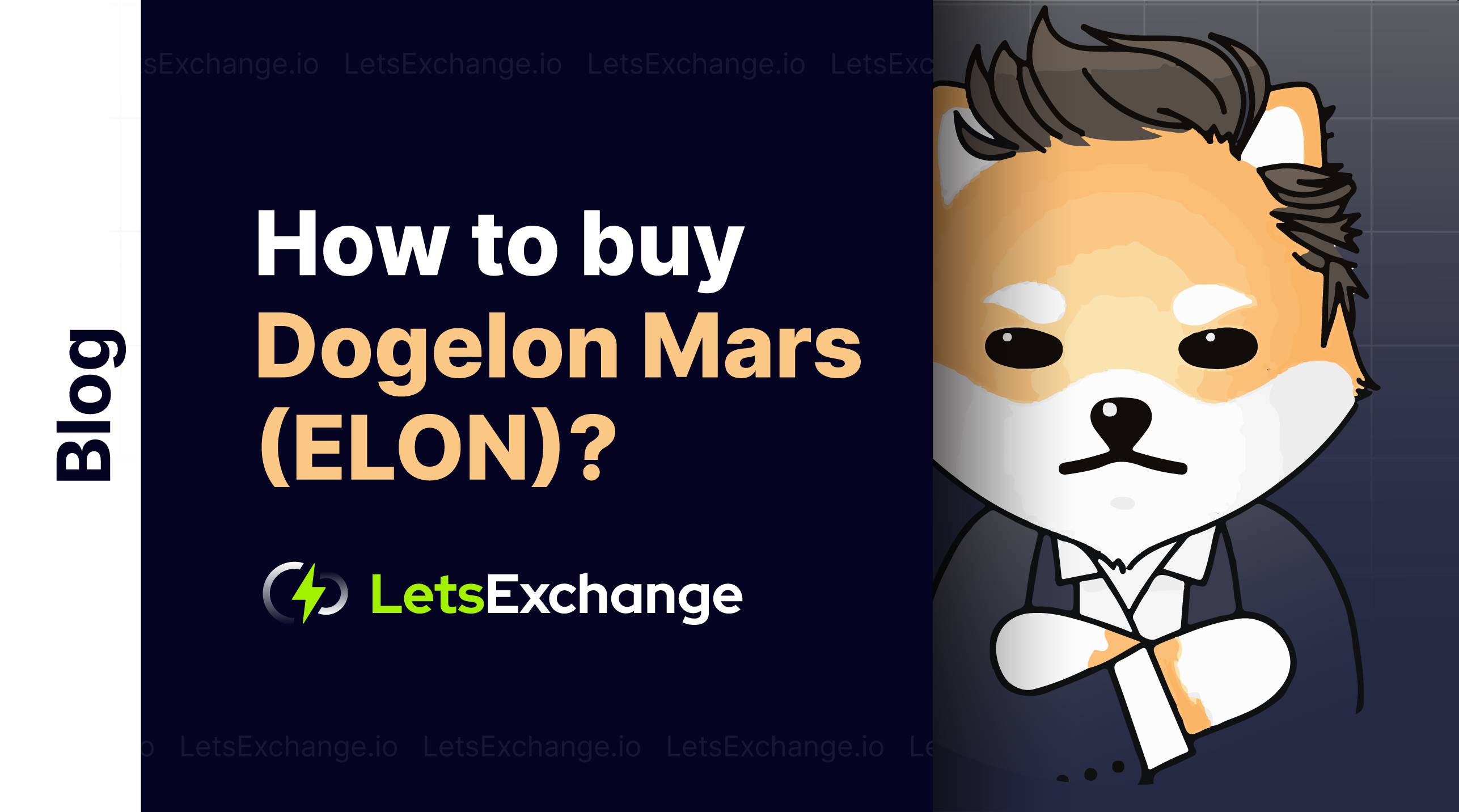 How to Buy Dogelon Mars? | Letsexchange