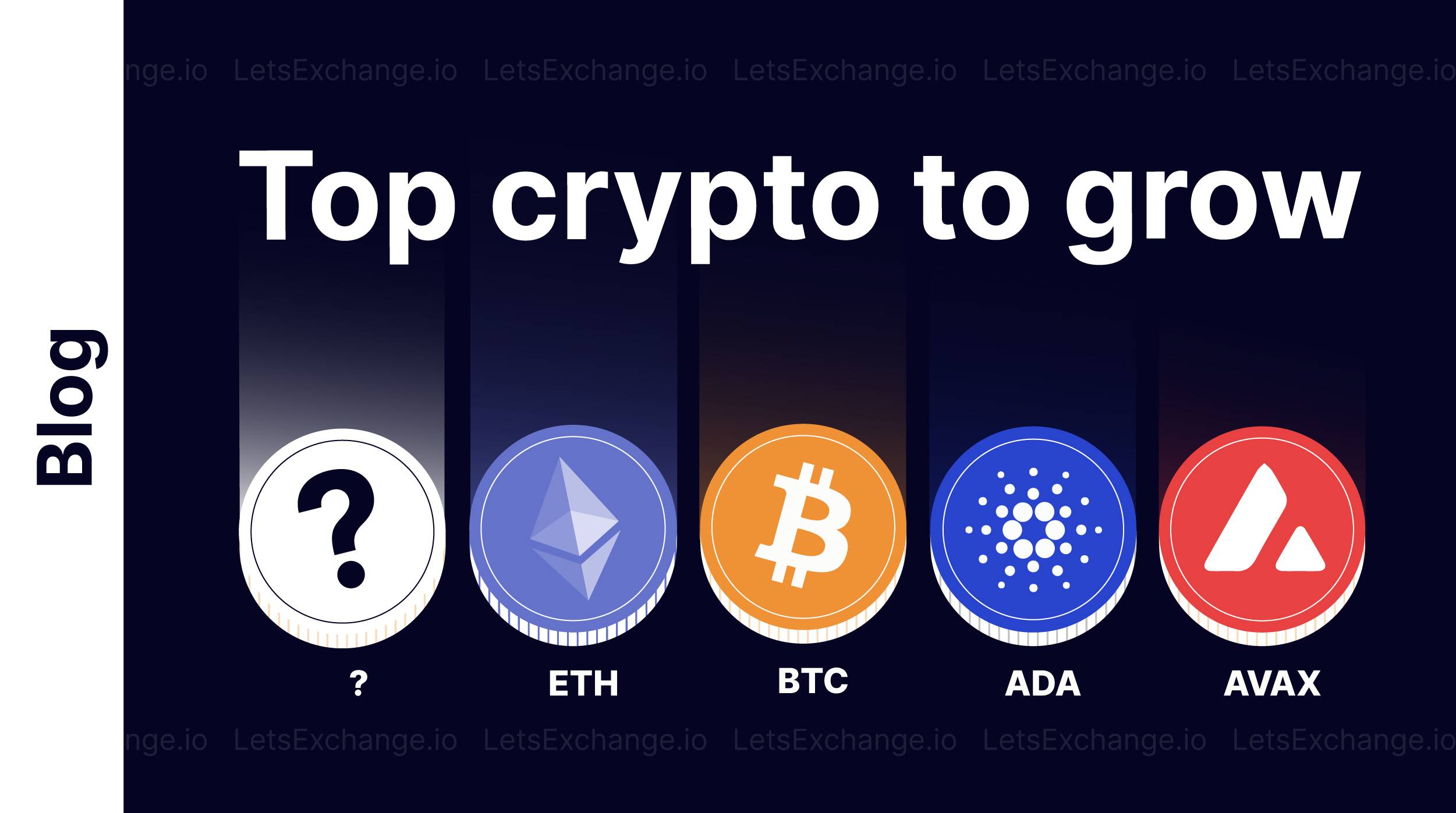 Which cryptocurrencies will start growing first after the end of the crypto winter? | LetsExchange