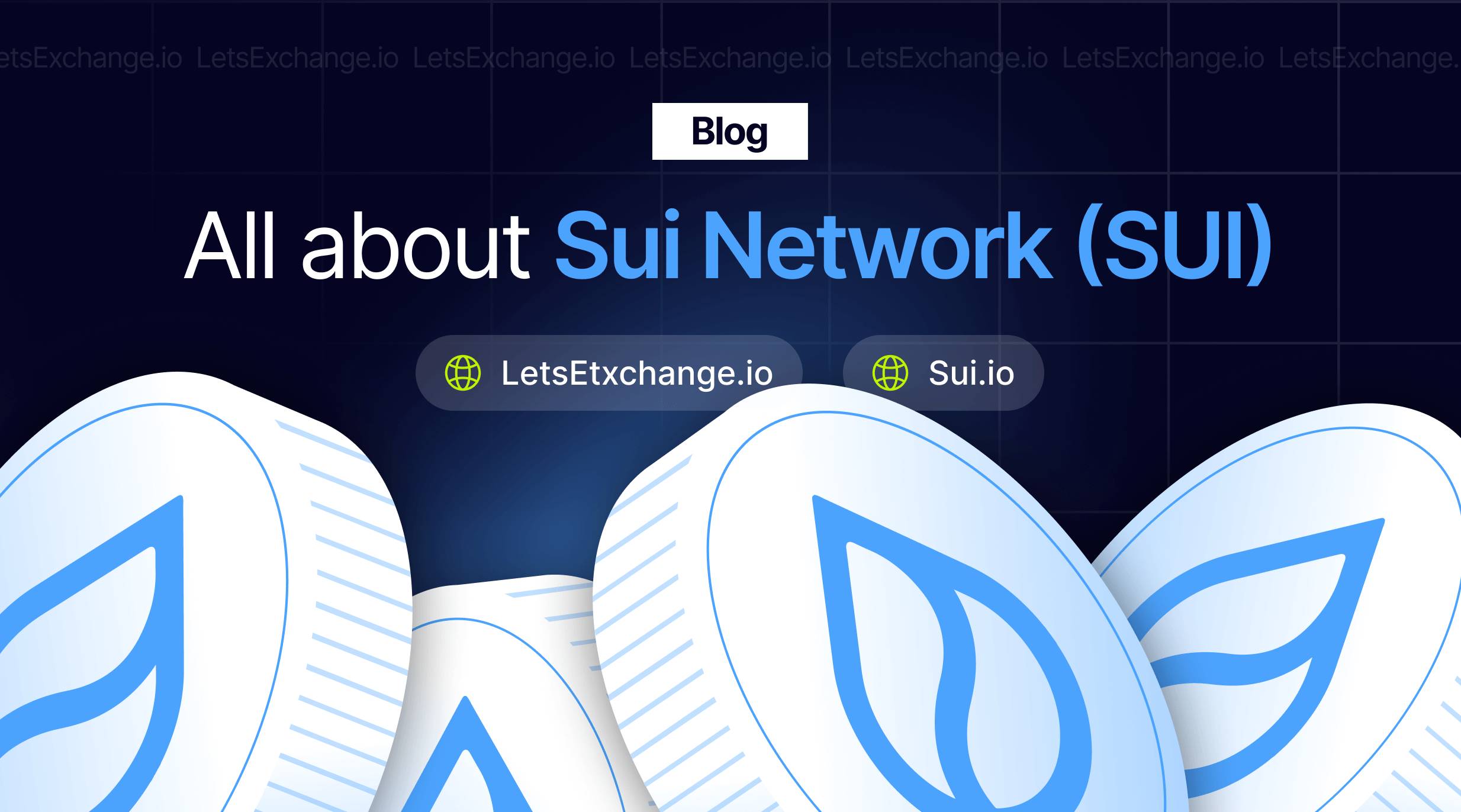 What Is Sui Network? | LetsExchange