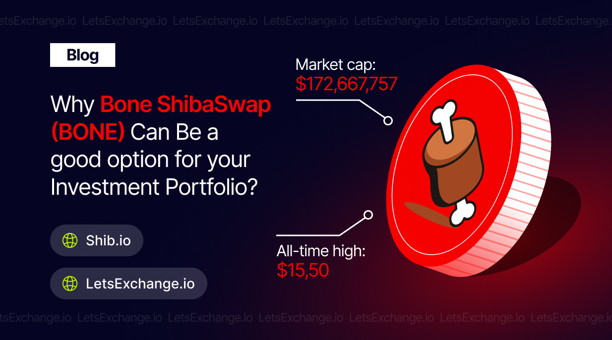 Can BONE be an interesting investment in the long term? | LetsExchange blog