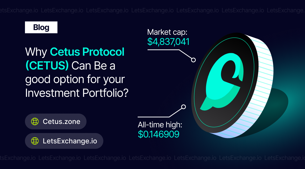 Can CETUS be an interesting investment in the long term? | LetsExchange blog