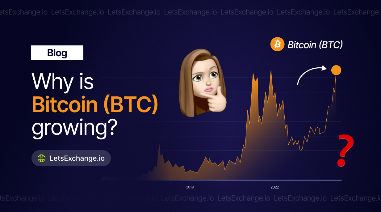 Why is Bitcoin growing? Will it reach the next all-time high? | LetsExchange blog