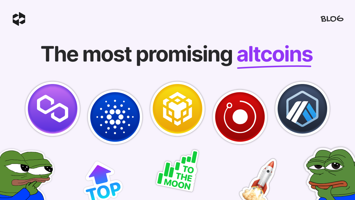 The most promising altcoins for the next altcoin season | LetsExchange blog