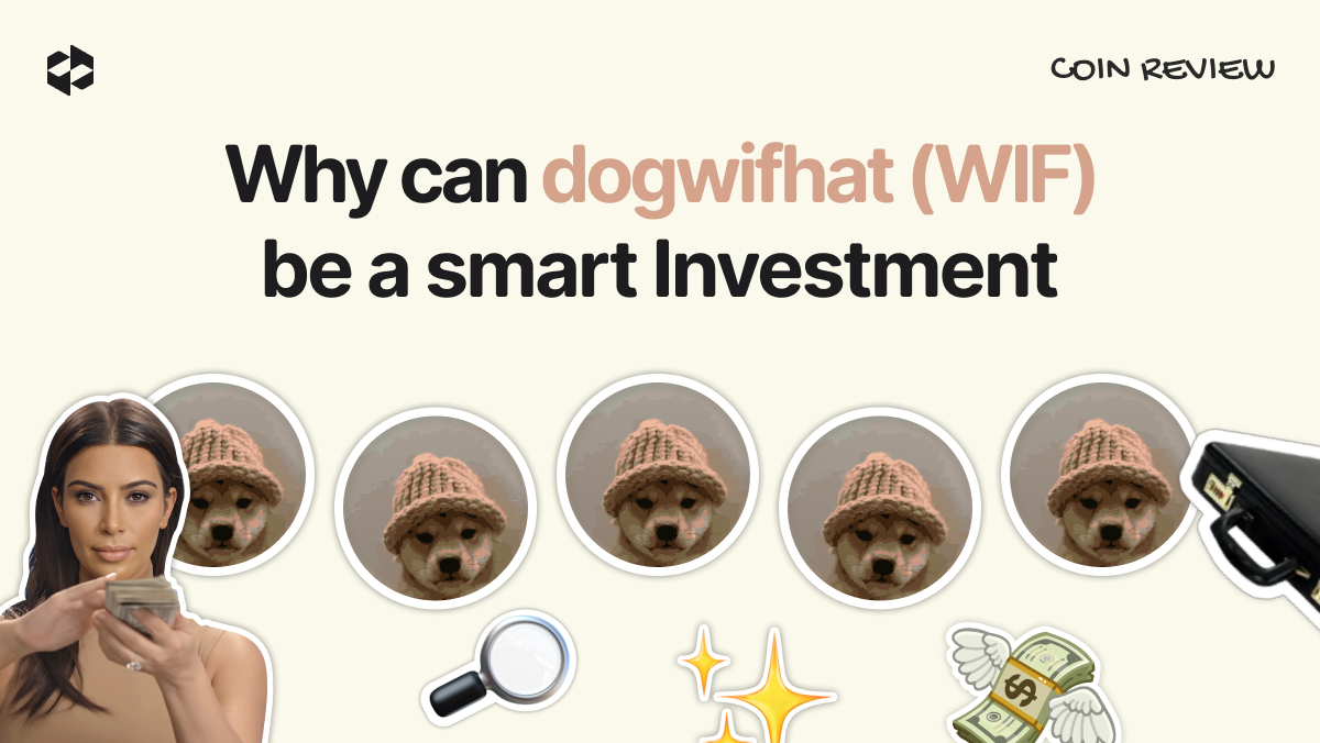 Is WIF worth considering as a compelling long-term investment? | LetsExchange blog