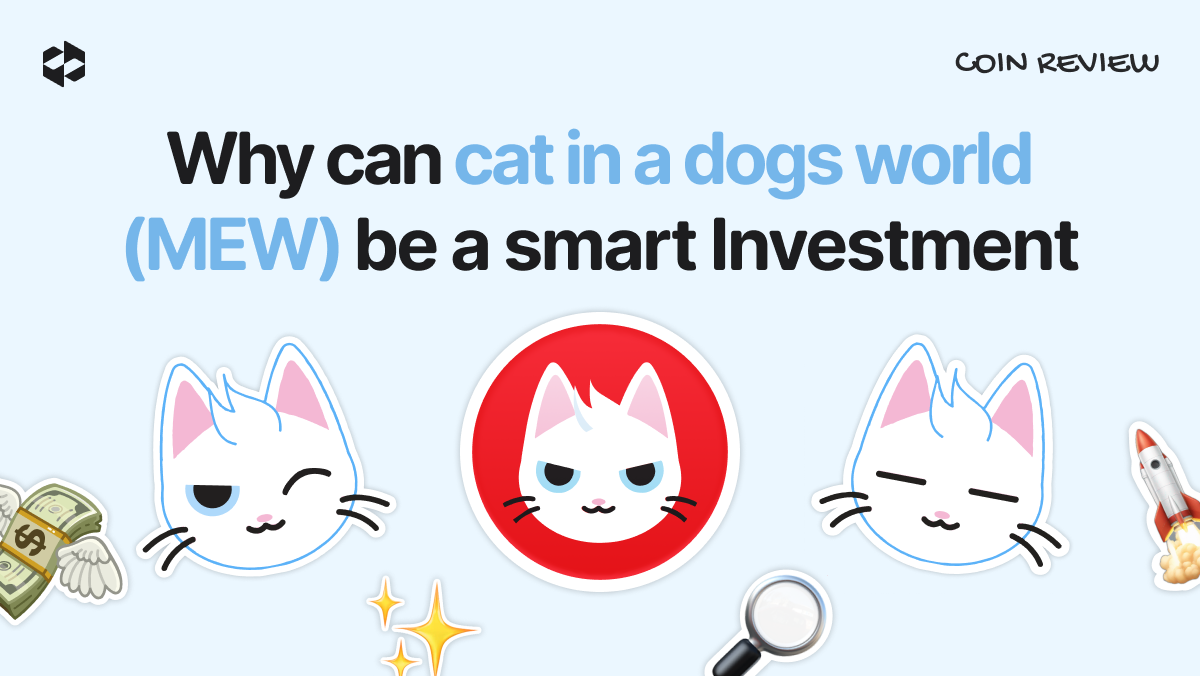 Is MEW worth considering as a compelling long-term investment? | LetsExchange blog