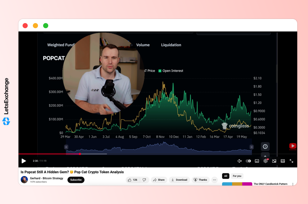 Insight by the YouTuber Gerhard - Bitcoin Strategy