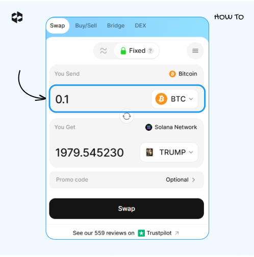 Choose a coin to send and provide the amount to send