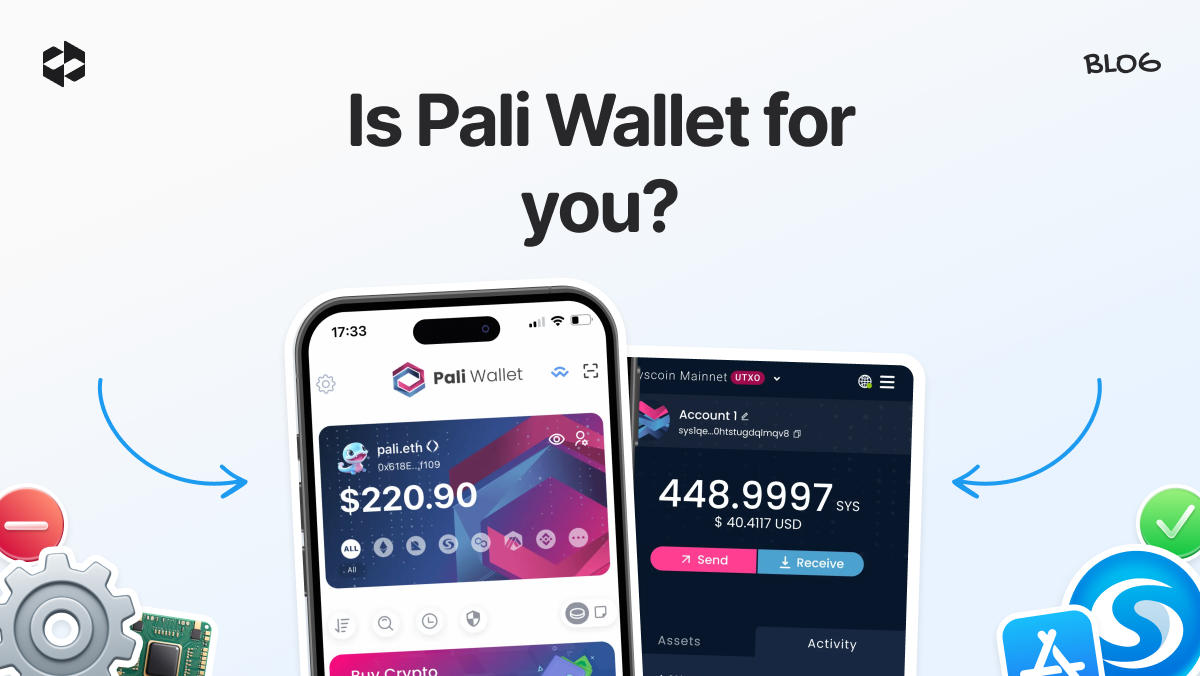Detailed review of Pali Wallet’s characteristics, pros, and cons