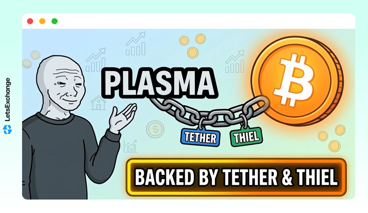 Insight into the future price of the XPL token by a Youtuber.