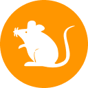 RATS
