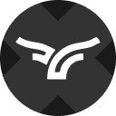 Bullish xStock